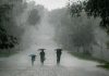 .ahmedabad-news/other/imd-predicts-rainfall-in-gujarat-this-week