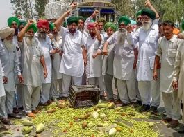 Farmers throw vegetables on a road during a state-wide protests, at Bagha Purana in Moga district of Punjab on Friday