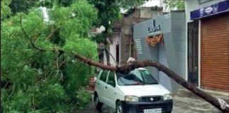 outh-gujarat/three-died-because-of-rain-and-thunderstorm-in-surat