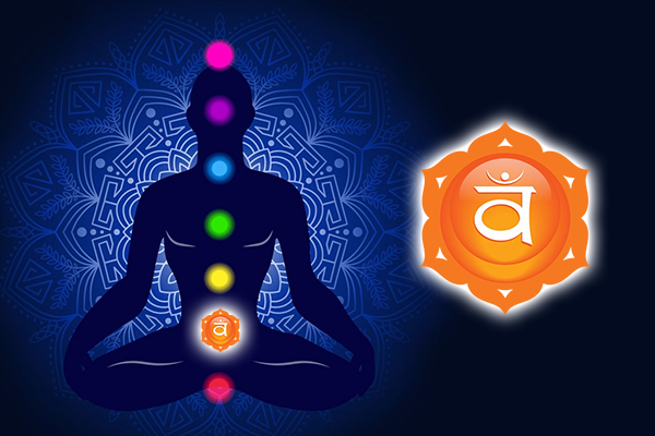 સ્વાધિષ્ઠાન ચક્ર! સ્વયં નું સ્થાન સ્વયં નાં સંયમ વગર પ્રાપ્ત થતું નથી.